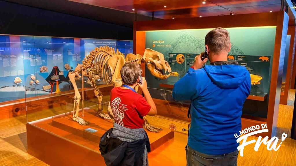 isita con audioguide al Museum Ladin Ursus ladinicus - Museo dell'Orso ladino